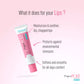 Anaaya Perfect Pout Lip Balm SPF 30 Enriched with Shea and Cocoa Butter Berry Fruit